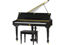 Digital Pianos & Keyboards