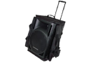 Speaker Bags & Cases