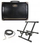 Acoustic Guitar Peavey Ecoustic E208 Combo 30 Watt Amp (2) 8" Speakers with Stand & 1/4" Jack Cable