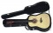 Dean Acoustic Guitars AK48 GN Trans Black Finish Tradition AK48 with Hard Case