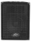 Peavey PVi 10 10-Inch Premium Speakers with Horn-Loaded High Frequency Driver