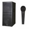 Peavey Pro Audio SP 218BX Pro Audio 4800 Watt Dual 18" PA Speaker Bass Enclosure with PVI 100 Microphone