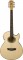 Washburn EA20 Electric Florentine Cutaway Style with 21 Frets & Natural Finish