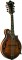 Washburn M118SWK Vintage Mandolin Guitar Florentine Cutaway Design with Case