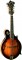 Washburn M120K Florentine Cutaway Design Mandolin Guitar Tabocco Sunburst Finish